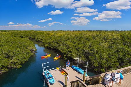 Kayak Launch members at the orchid island kayak launch