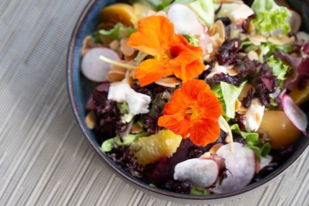 Pelican Pavilion Dining Pelican Pavilion close up of food